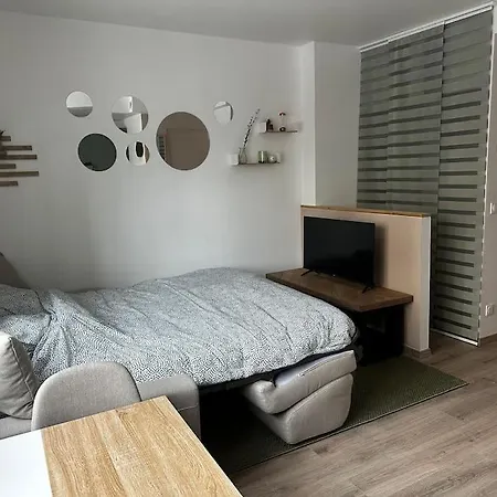 Studio « noix » *